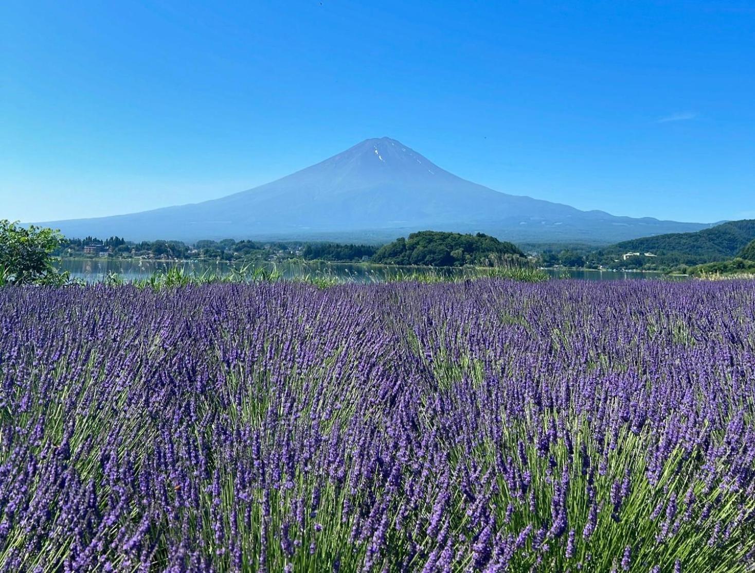 Holiday Home Furinkazan 風林火山 Fudžikawagučiko Exteriér fotografie